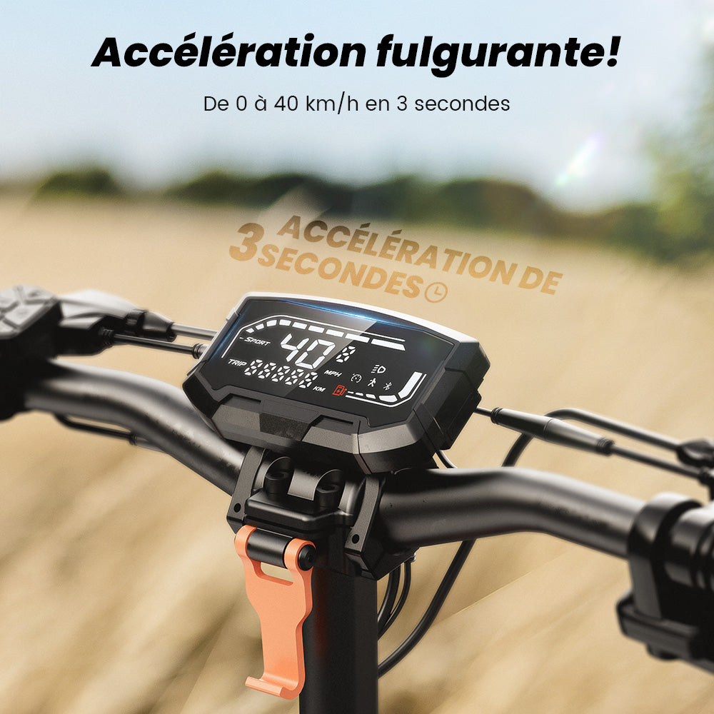 D2/D2plus Trottinette électrique tout-terrain 1000 W