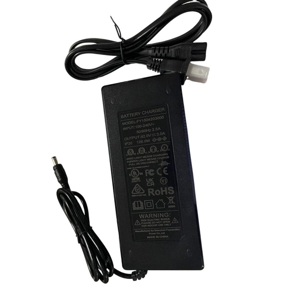 Chargeur pour vélo électrique M10